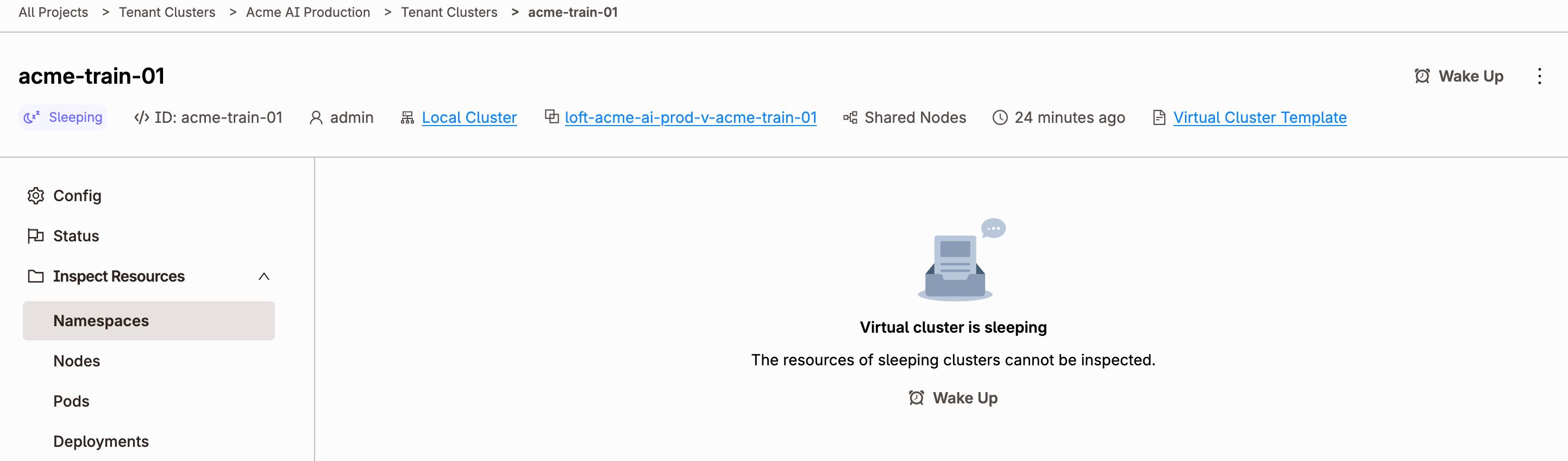 Tenant cluster details page showing a sleeping virtual cluster with a Wake Up action